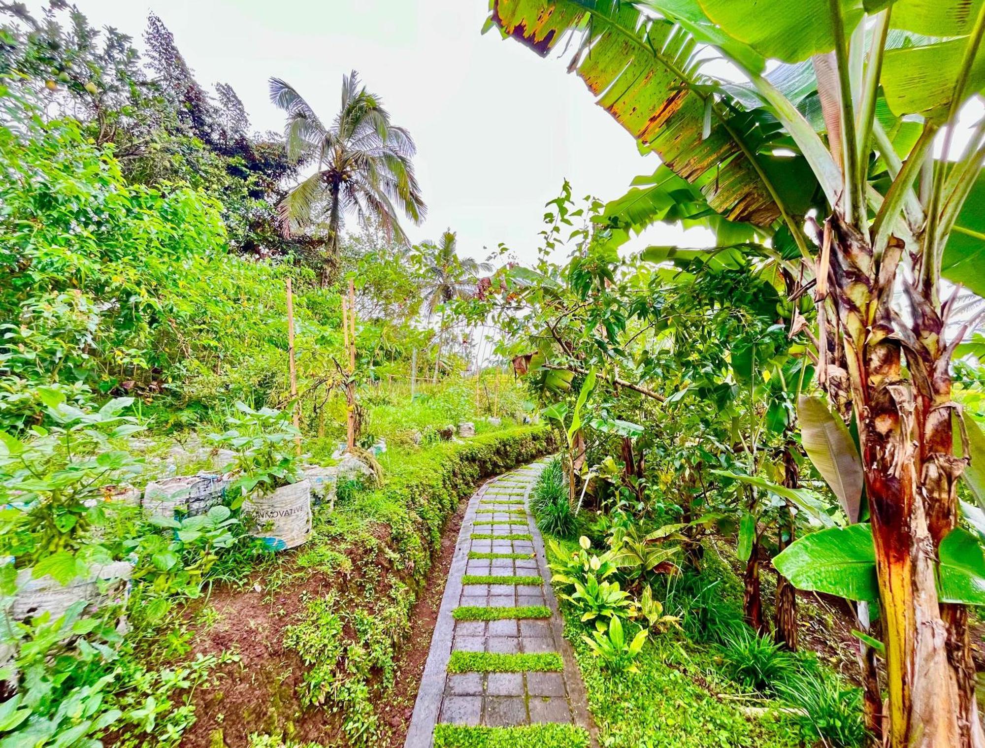 Pondok Is Oke Villa Scenic View Banyuwangi  Esterno foto