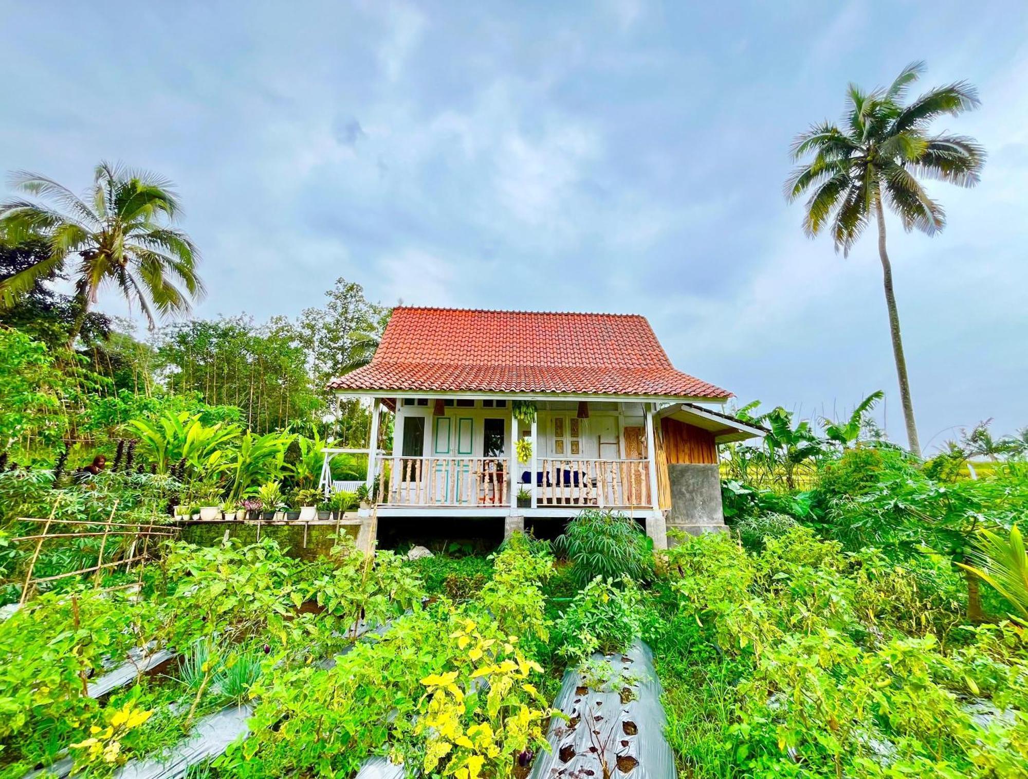 Pondok Is Oke Villa Scenic View Banyuwangi  Esterno foto