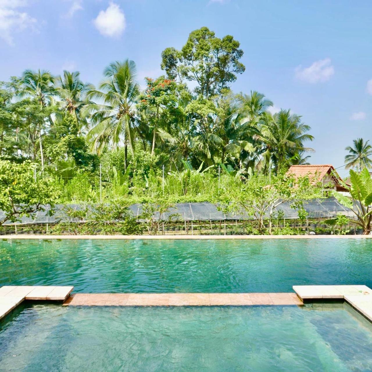 Pondok Is Oke Villa Scenic View Banyuwangi  Esterno foto