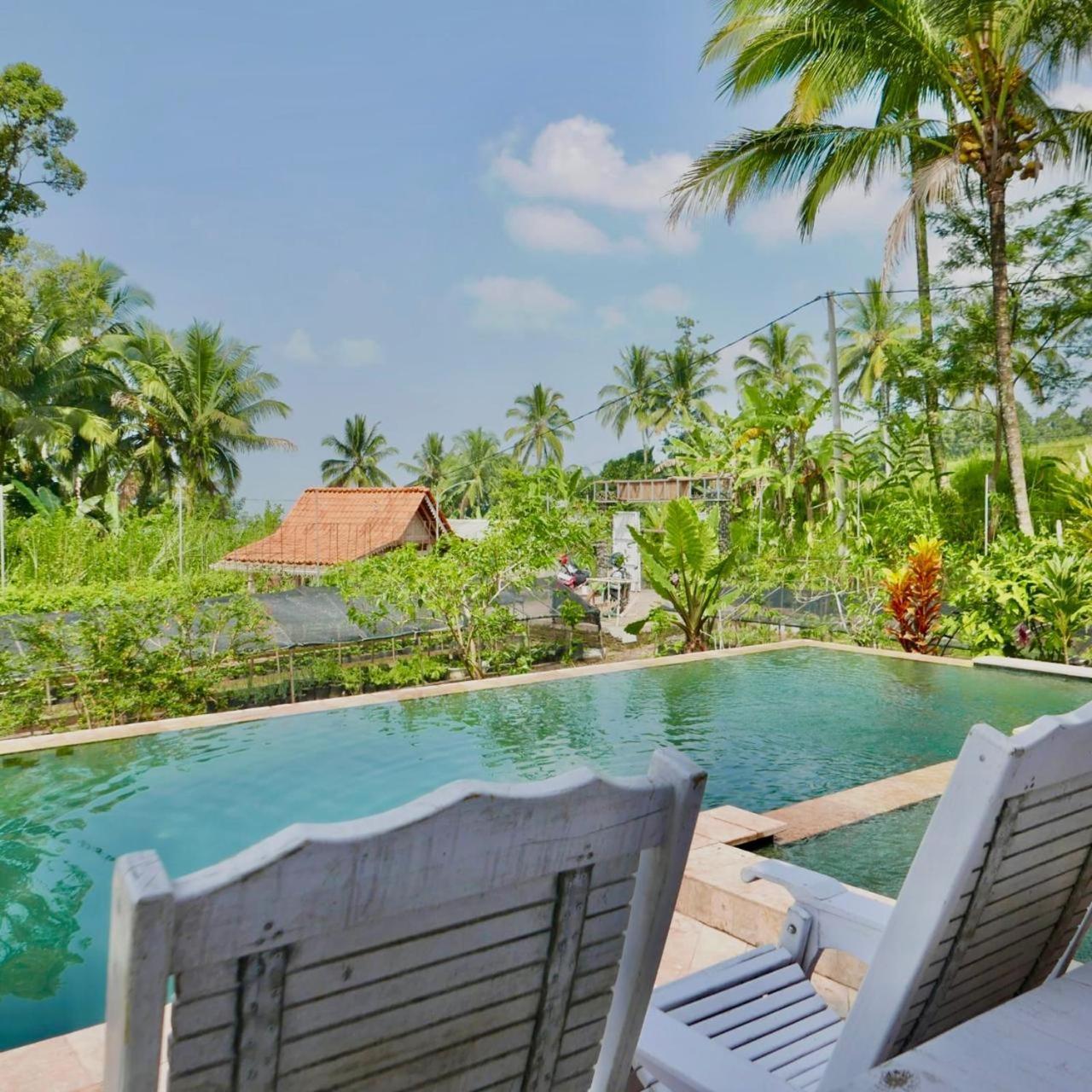 Pondok Is Oke Villa Scenic View Banyuwangi  Esterno foto