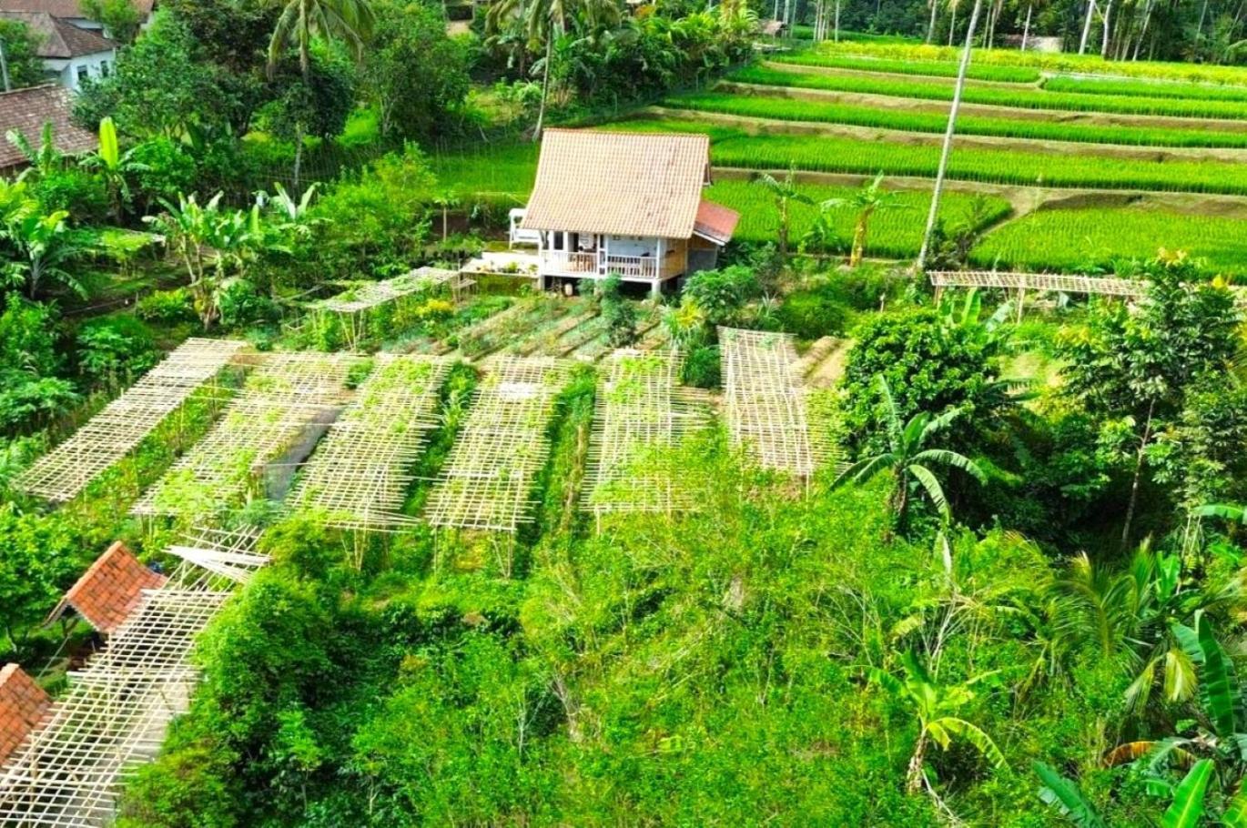 Pondok Is Oke Villa Scenic View Banyuwangi  Esterno foto