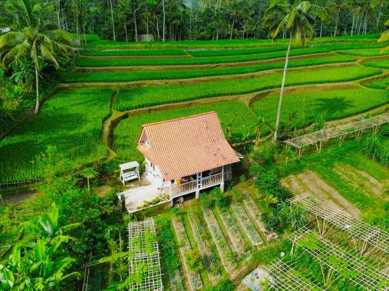 Pondok Is Oke Villa Scenic View Banyuwangi  Esterno foto