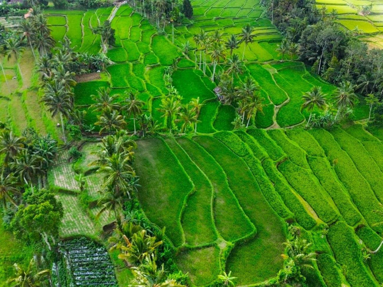 Pondok Is Oke Villa Scenic View Banyuwangi  Esterno foto