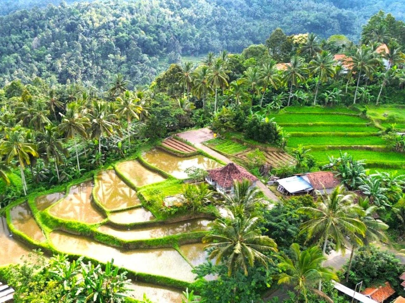 Pondok Is Oke Villa Scenic View Banyuwangi  Esterno foto